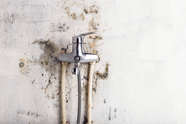 Home Mold Removal in Woodward, OK