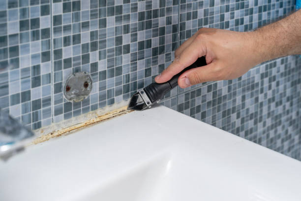 Best Commercial Mold Removal  in Woodward, OK